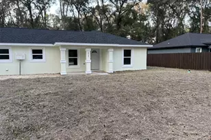 11 Sequoia Loop Pl, Ocklawaha, FL 32179 - Photo 31