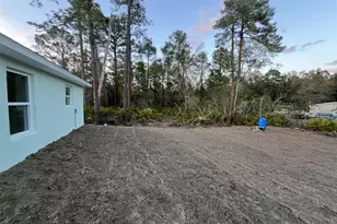 35 Sequoia Trail, Ocklawaha, FL 32179 - Photo 23