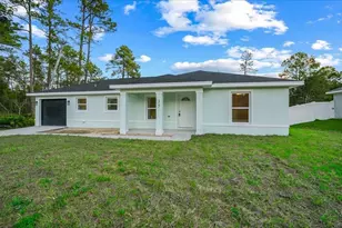 35 Sequoia Trail, Ocklawaha, FL 32179 - Photo 45