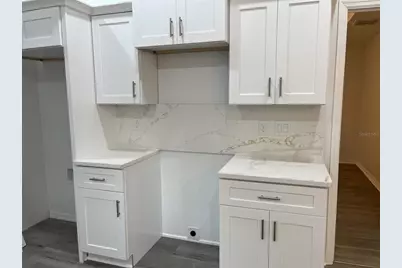 35 Sequoia Trail, Ocklawaha, FL 32179 - Photo 5