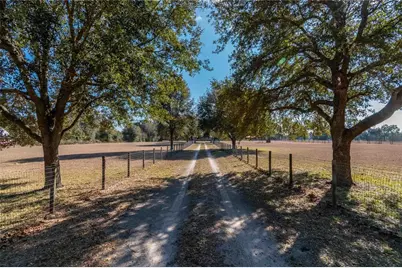 26707 NW 84th Place, High Springs, FL 32643 - Photo 9