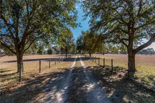 26707 NW 84th Pl, High Springs, FL 32643 - Photo 9