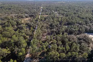 7970 NE 110th Ave, Bronson, FL 32621 - Photo 21