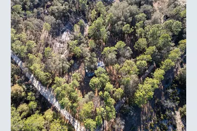 7970 NE 110th Avenue, Bronson, FL 32621 - Photo 19