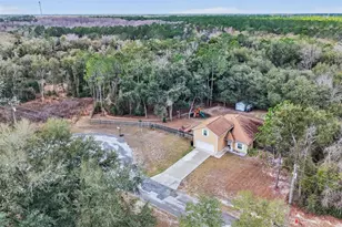 30 Deer Trail Cir, Bronson, FL 32621 - Photo 53