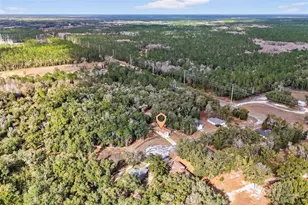 30 Deer Trail Cir, Bronson, FL 32621 - Photo 53