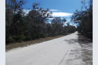 0000 NE 836th Street, Old Town, FL 32680 - Photo 43