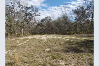 0000 NE 836th Street, Old Town, FL 32680 - Photo 17