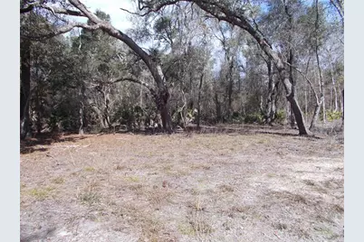 0000 NE 836th Street, Old Town, FL 32680 - Photo 27