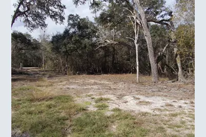 0000 NE 836th Street, Old Town, FL 32680 - Photo 25