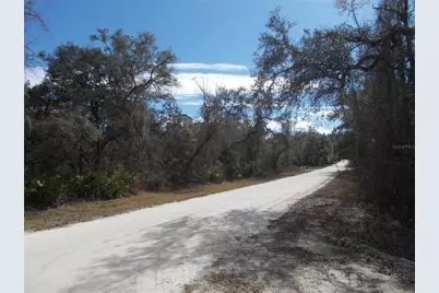 0000 NE 836th Street, Old Town, FL 32680 - Photo 45