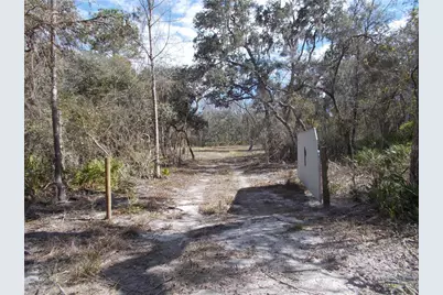 0000 NE 836th Street, Old Town, FL 32680 - Photo 7
