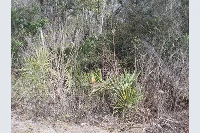 0000 NE 836th Street, Old Town, FL 32680 - Photo 39