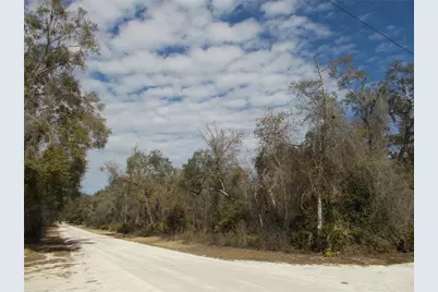 0000 NE 836th Street, Old Town, FL 32680 - Photo 35