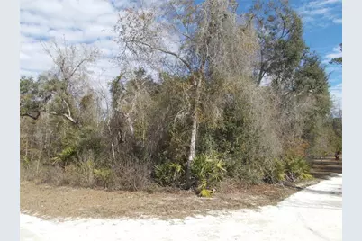 0000 NE 836th Street, Old Town, FL 32680 - Photo 37