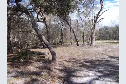 0000 NE 836th Street, Old Town, FL 32680 - Photo 11