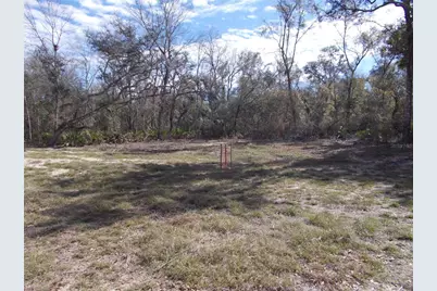 0000 NE 836th Street, Old Town, FL 32680 - Photo 19