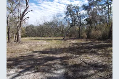 0000 NE 836th Street, Old Town, FL 32680 - Photo 13