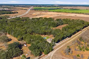 8490 SE 110th Street Rd, Belleview, FL 34420 - Photo 3