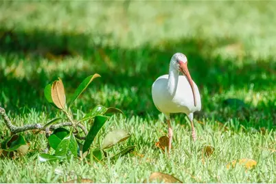 625 Midway Drive #A, Ocala, FL 34472 - Photo 29