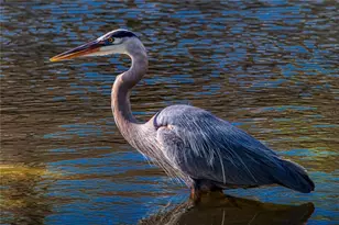 625 Midway Dr, Ocala, FL 34472 - Photo 33