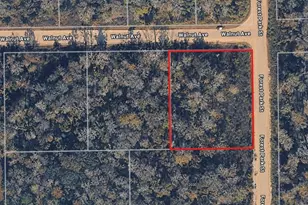 3977 Walnut Ave, Bunnell, FL 32110 - Photo 1