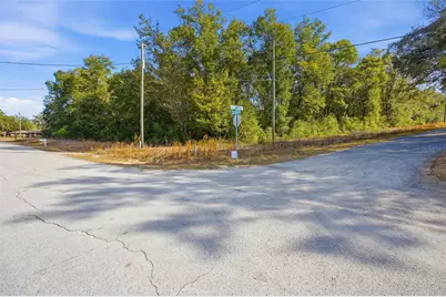 Lot 163 SW Shorewood Drive, Dunnellon, FL 34431 - Photo 3