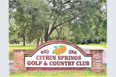 7954 N Golfview Drive, Citrus Springs, FL 34434 - Photo 23