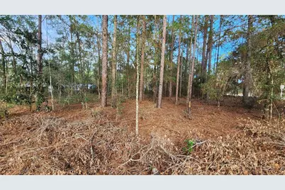 7954 N Golfview Drive, Citrus Springs, FL 34434 - Photo 5