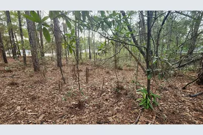 7954 N Golfview Drive, Citrus Springs, FL 34434 - Photo 9