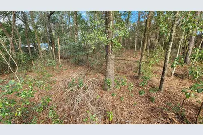 7954 N Golfview Drive, Citrus Springs, FL 34434 - Photo 7