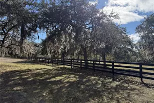 11330 E Levy St, Williston, FL 32696 - Photo 21