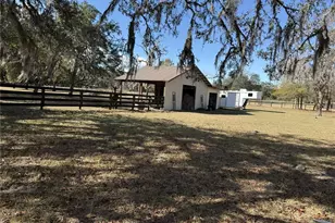 11330 E Levy St, Williston, FL 32696 - Photo 19