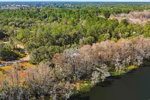 351 Sequoia Dr, Ocklawaha, FL 32179 - Photo 63