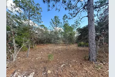 8951 N Citrus Springs Boulevard, Citrus Springs, FL 34433 - Photo 5