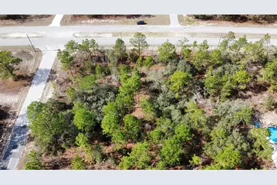 8951 N Citrus Springs Boulevard, Citrus Springs, FL 34433 - Photo 9