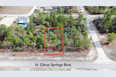 8951 N Citrus Springs Boulevard, Citrus Springs, FL 34433 - Photo 3