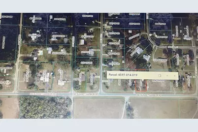 Tbd SE Sunset Harbor Road, Summerfield, FL 34491 - Photo 3