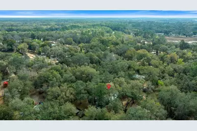 16789 SE 8th Place, Silver Springs, FL 34488 - Photo 41