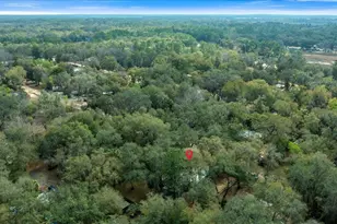 16789 SE 8th Pl, Silver Springs, FL 34488 - Photo 41