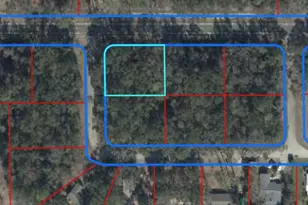 Tbd NW 94th Terrace, Chiefland, FL 32626 - Photo 1