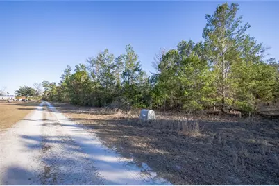 Se Rogers Sink Road, Madison, FL 32340 - Photo 3