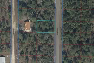 Tbd NE 150 Ave, Williston, FL 32696 - Photo 1
