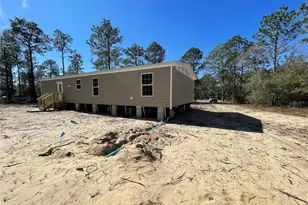 2671 SE 133rd Terrace, Morriston, FL 32668 - Photo 3