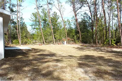 15 Fisher Way Place, Ocklawaha, FL 32179 - Photo 13