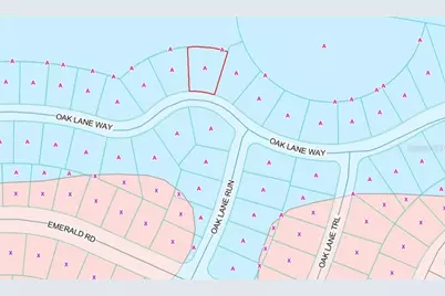 Tbd Oak Lane Way, Ocala, FL 34472 - Photo 3