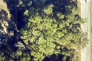 Tbt SE 48th Ct, Summerfield, FL 34491 - Photo 1