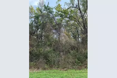 Tbt SE 48th Court, Summerfield, FL 34491 - Photo 7