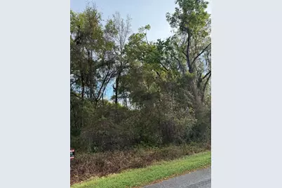 Tbt SE 48th Court, Summerfield, FL 34491 - Photo 3