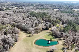 15551 NW Hwy 225, Reddick, FL 32686 - Photo 65